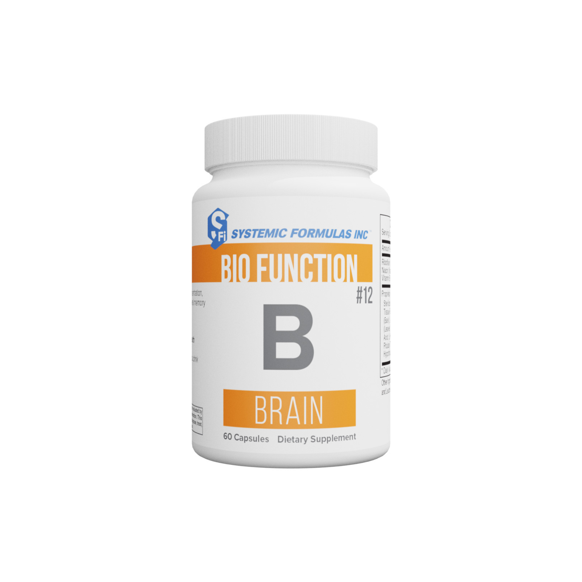 B - Brain