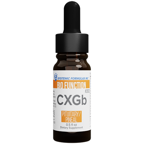 CXGB