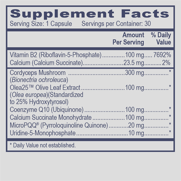 Electron Transport Assist (Mito Boost 1)