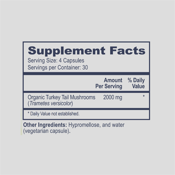 Turkey Tail Mushrooms